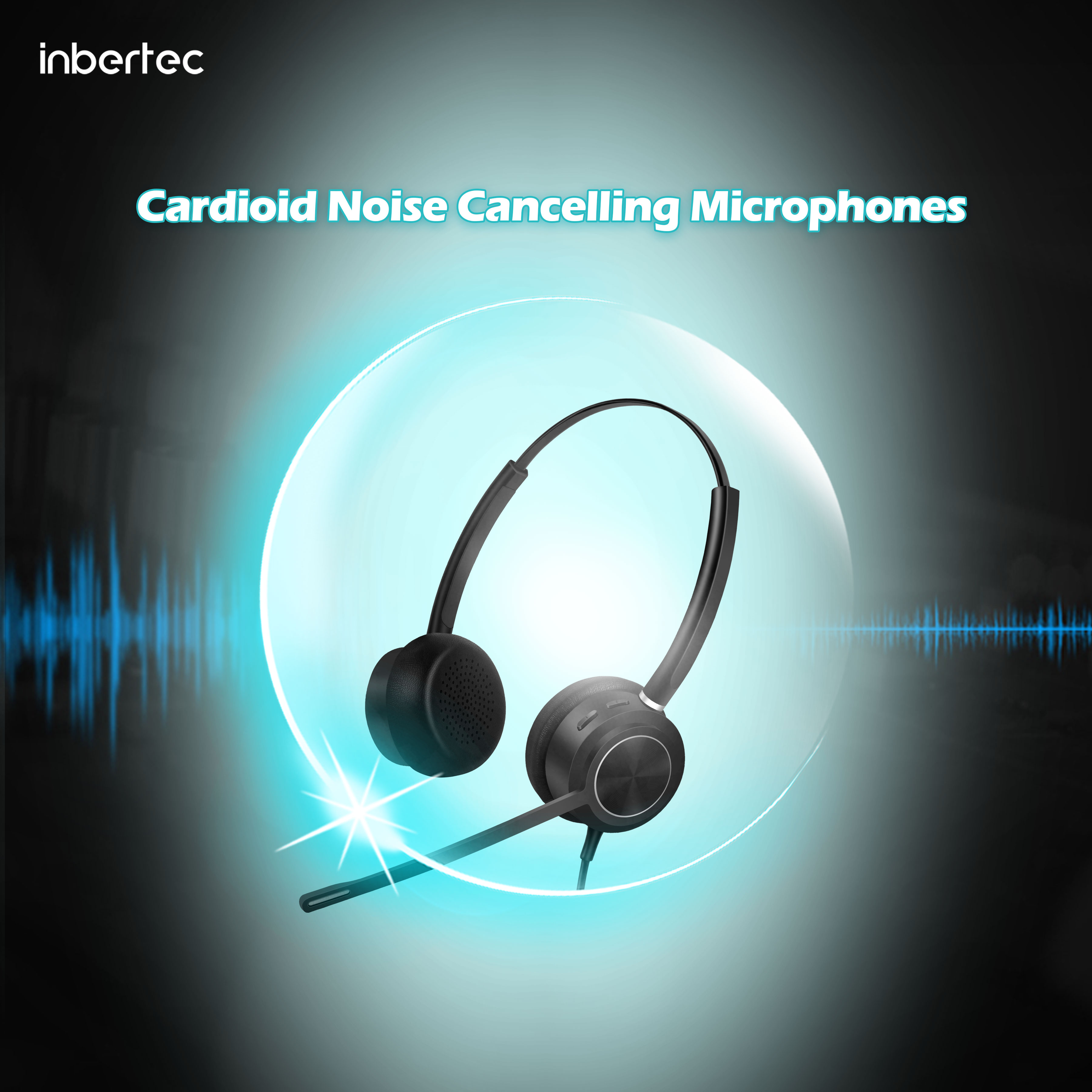 C100DU Dual Noise Cancellation Headset WFH-Picture1